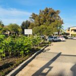 WhatsApp Image 2023-04-26 at 09.09.19